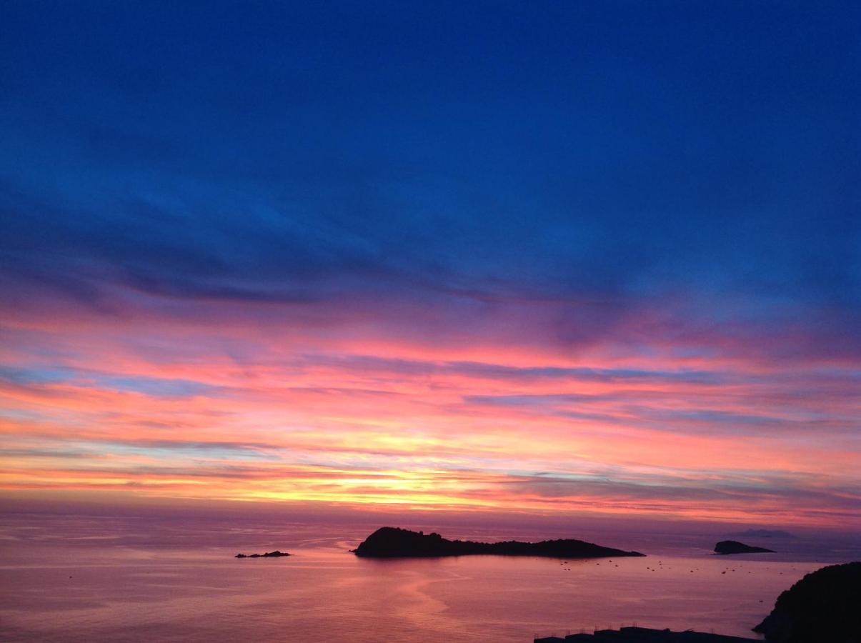 Fox Appartement Cavtat