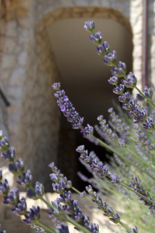 Appartement Fox Cavtat
